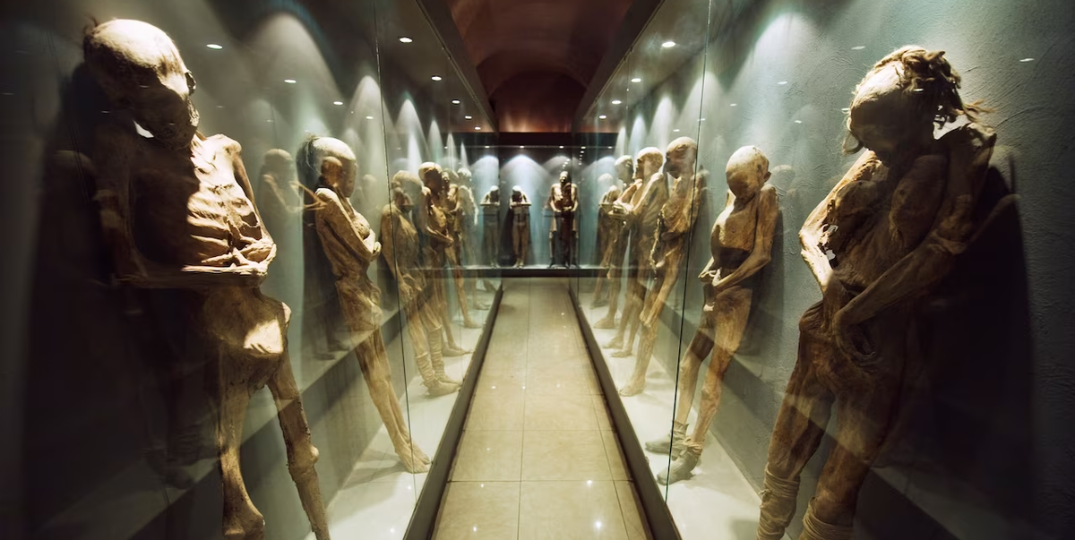 Многие тела в Музее лас Момиас в Гуанахуато выставлены стоя, что, по мнению некоторых ученых, мешает их сохранности. ФОТОГРАФИЯ РОБЕРТА ХАРДИНГА, ALAMY STOCK PHOTOS