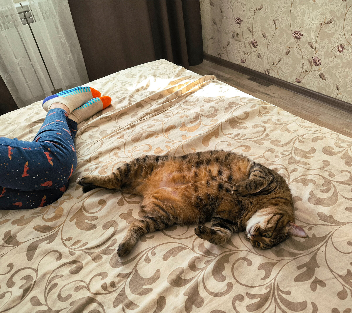 А у вас есть дома такая загогулина? Ну та, что в центре. Та, что слева - тока у меня)) 