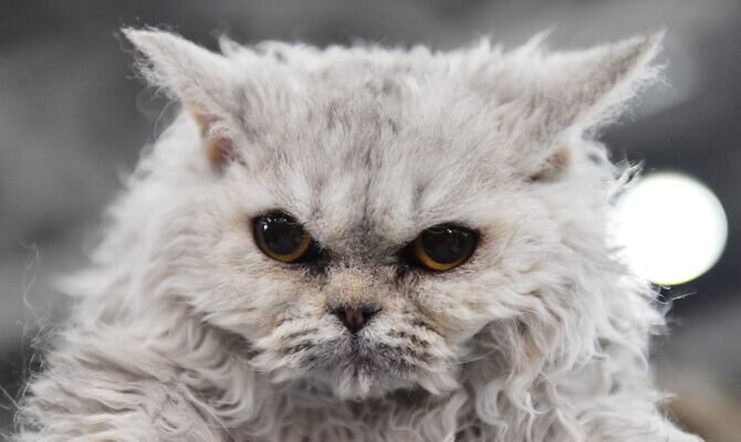 @ Sputnik / Natalia Seliverstova  