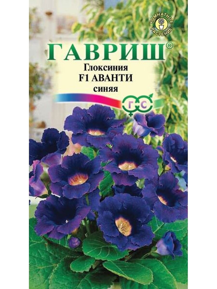семена глоксинии