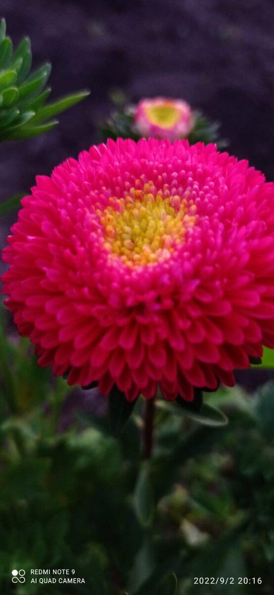 Далеко не вся коллекция!!