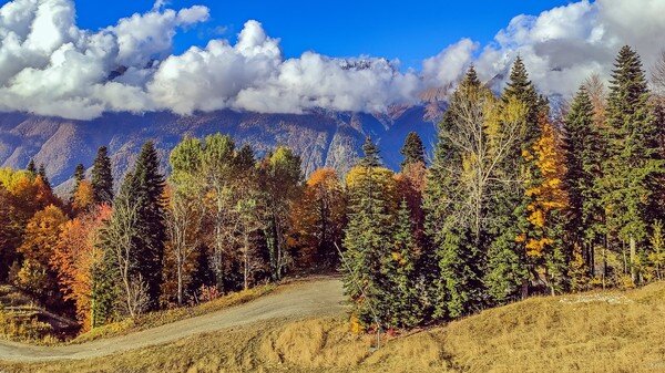 Это неплохо когда дорога даёт тебе не меньше, чем та цель, к которой она ведёт ... С Воскресением Вас!   

Осень ..., Лаура, Красная Поляна ...   

  