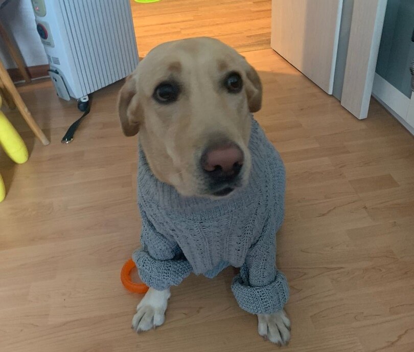 Фотография из личного архива автора. Полли))