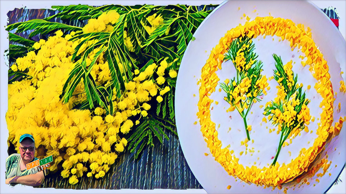 Салат украшен укропом в стиле Мимозы