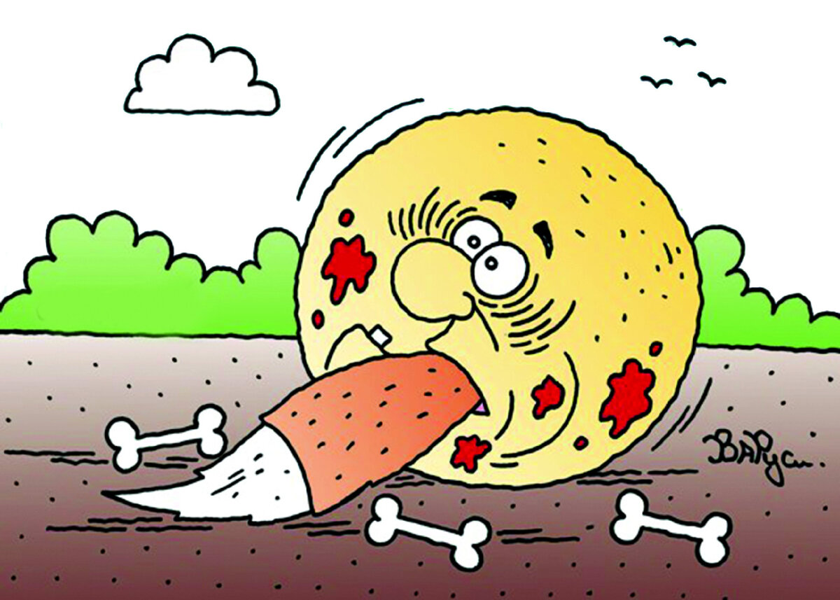 Яндекс картинки.