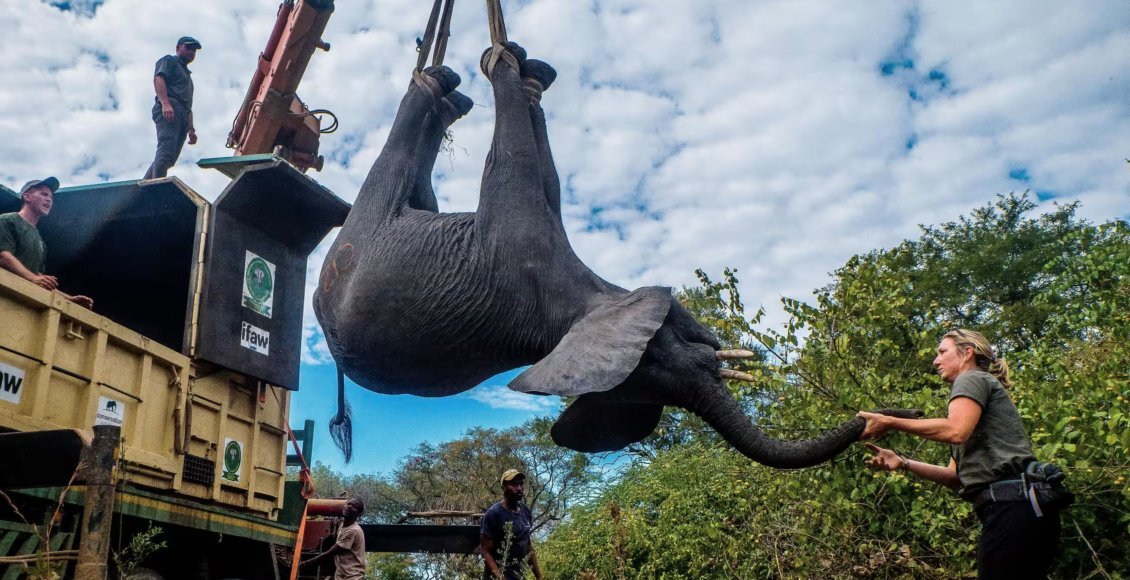    Фото: Xinhua / Rex / Shutterstock