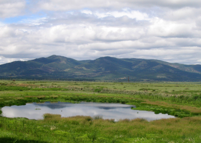 Автор: InvictaHOG Источник: https://commons.wikimedia.org/w/index.php?curid=1560343