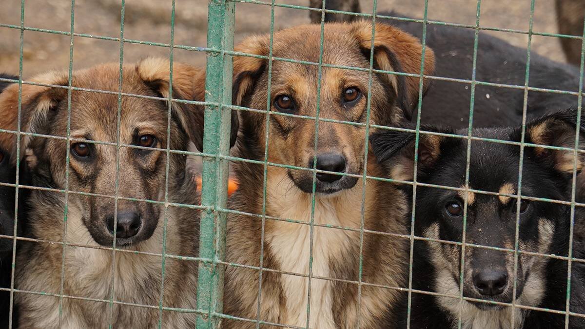    Фото: Анатолий Цымбалюк / Вечерняя Москва