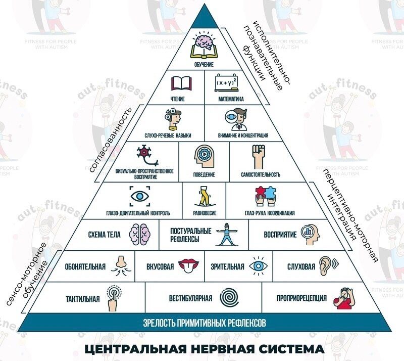 Пирамида Вильямса и Шелленбергера