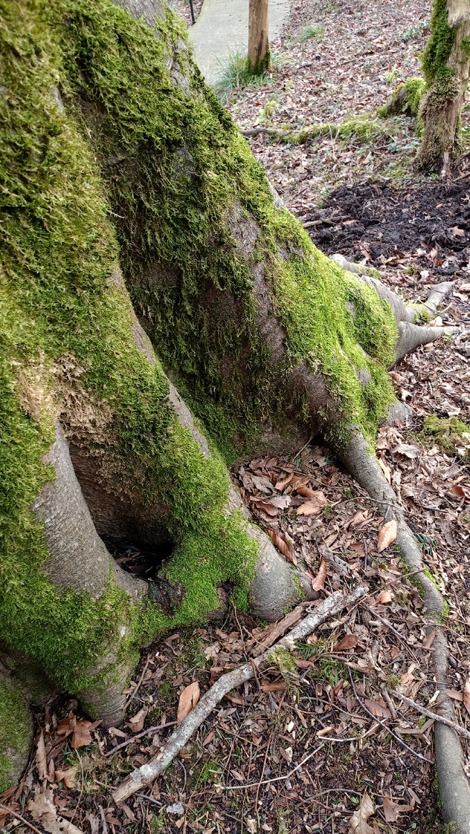сможете сходить. выходные в москве. выходные в городе. новосибирский парк чудес галилео. каток в парке красная пресня.