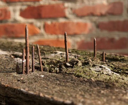Ржавые, торчащие гвозди. // Фото из Гугла.