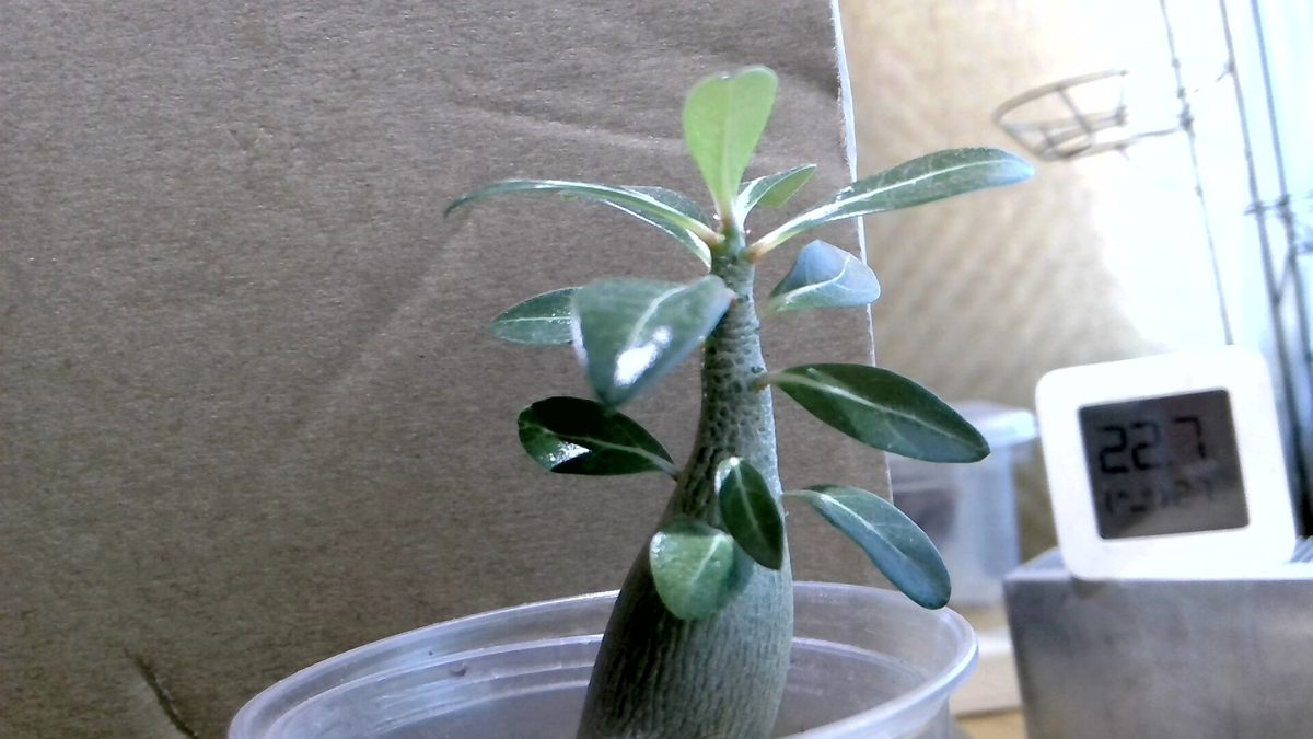 Полученная фотография объекта с модуля IMX179