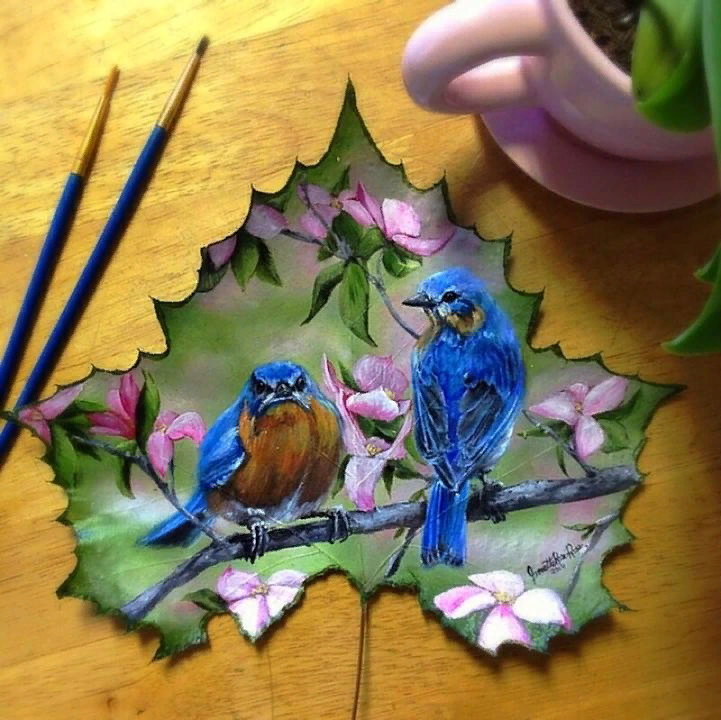 Жаннет Роуз Источник Яндекс картинки