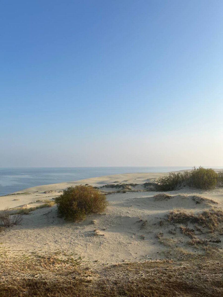 Куршская коса - Высота Эфа