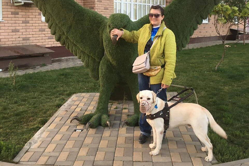 Фотосессия с хаски. Девушка и хаски. Глаза животных. Рыжий шпиц алопеция. Одри хаски модель.