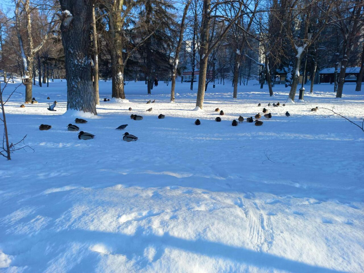 Фото автора.