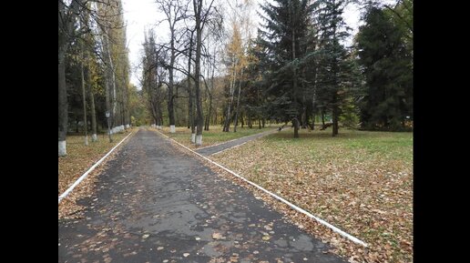 Осеннее безмолвие. Санаторий им.Цурюпы Воронежская область Лиски