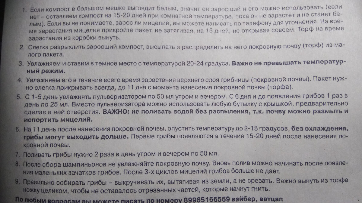 Оказывается в квартире можно вырастить даже шампиньоны | 🍎🌿Дачная  пчелка🐝 | Дзен