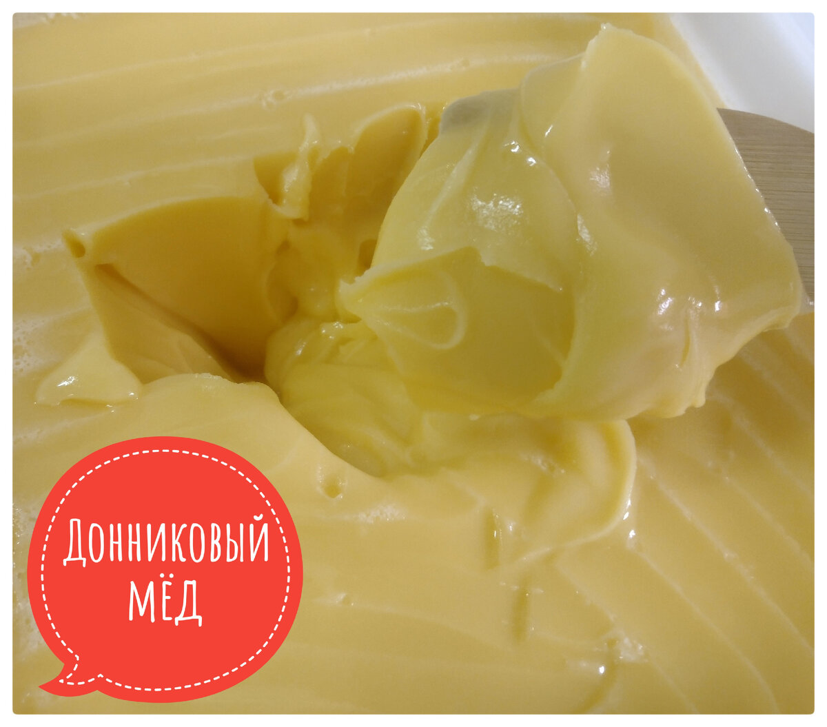 Донниковый мёд 