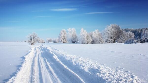    © Depositphotos.com / mihtiander