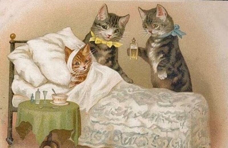 Рисунок из открытых источников