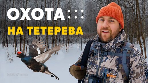 ОХОТА НА ТЕТЕРЕВА! ОХТА НА ЛУНКАХ! ВИДЫ И НЮАНСЫ ЗИМНЕЙ ОХОТЫ!