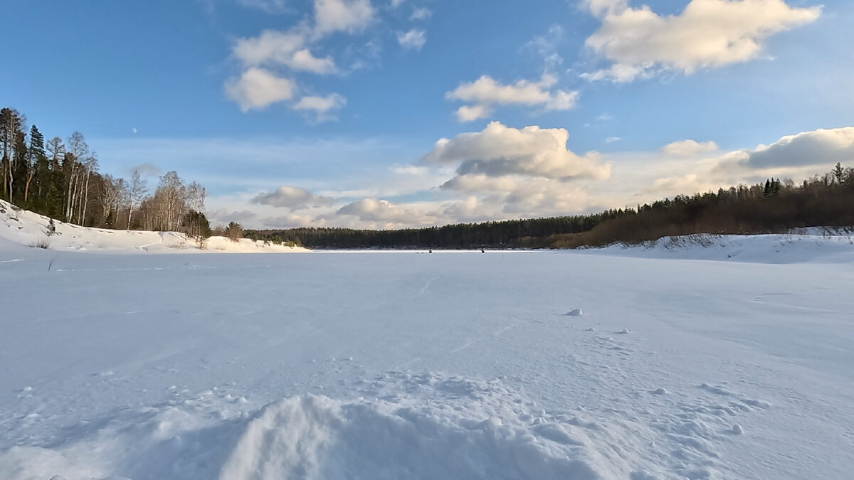 Место Коллектив в феврале