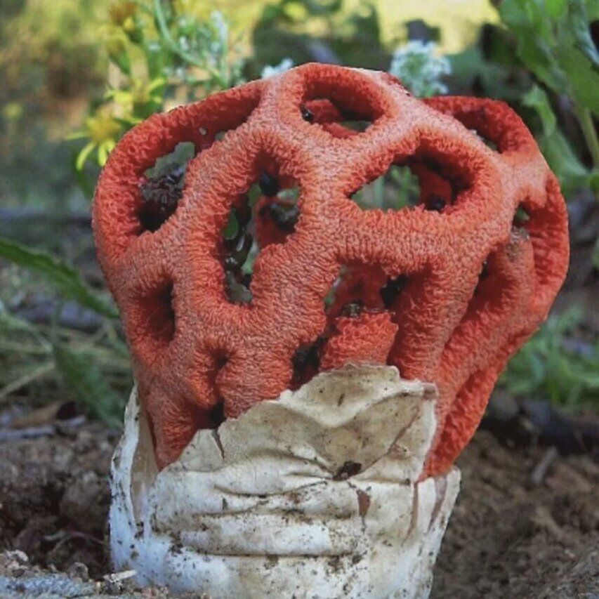 Сочи - главные новости и последние события - страница 159