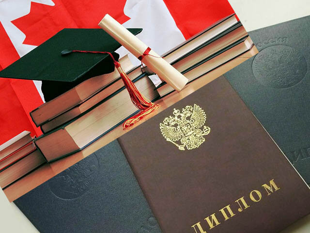 Фото с Unsplash.