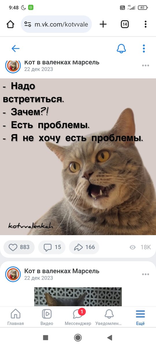 Мем для вас. Благодарите кота в валенках Марселя - он есть в ВК! 