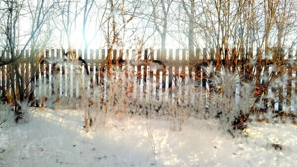    © Sputnik / Ларыса Мятлеўская