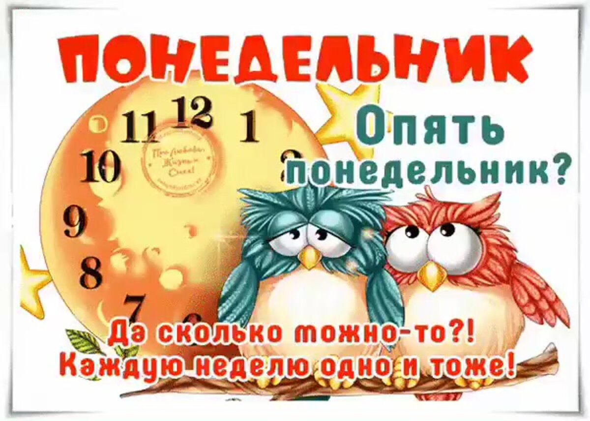 Яндекс картинки 