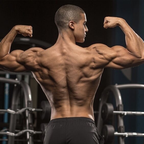 Упражнения в спортзале. Как делать боковую планку. Упражнения лежа на спине. Планки упражнения. Тренировка мышц через день.