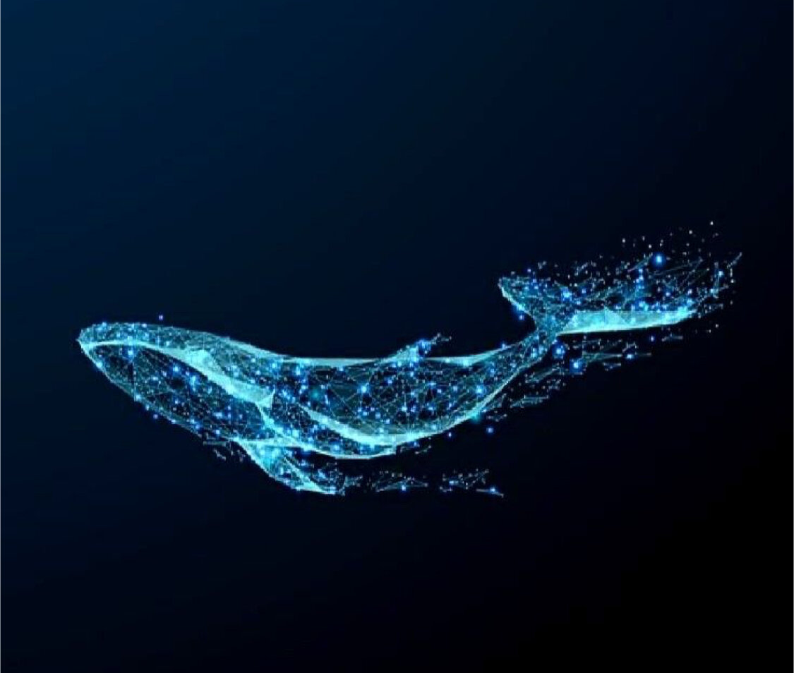 Картинка из интернета 