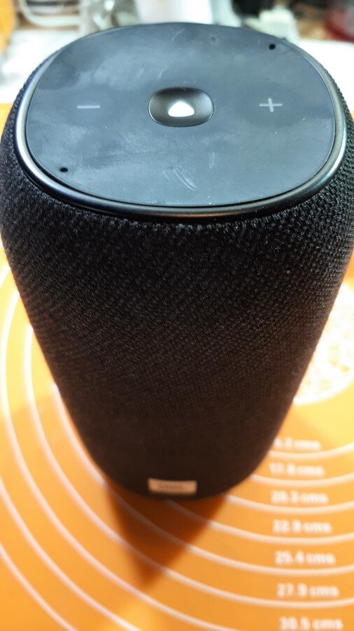  JBL Link Portable во весь рост