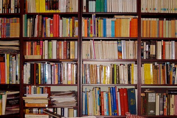 Книжная полка в советское время