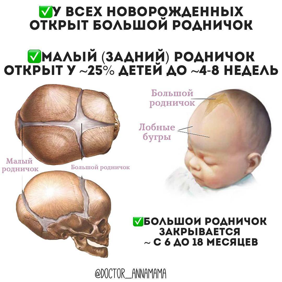 Когда зарастает родничок у ребёнка