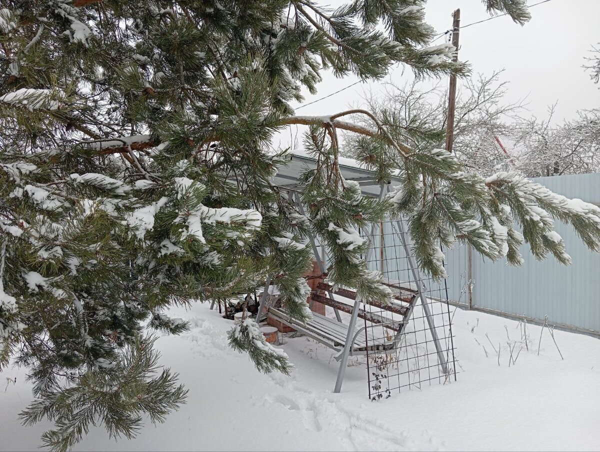 Все в снегу