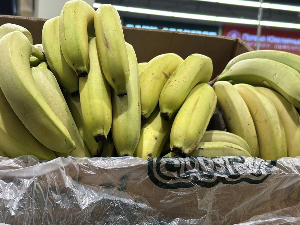    Банановое противостояние подходит к концу? О чём договорились Россия и Эквадор