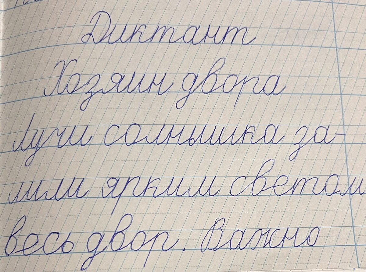 Работаем над красивым почерком. Тетрадь - помощник | Татьяна - мама  первоклассника | Дзен