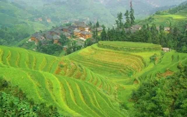 Взято из открытых источников 