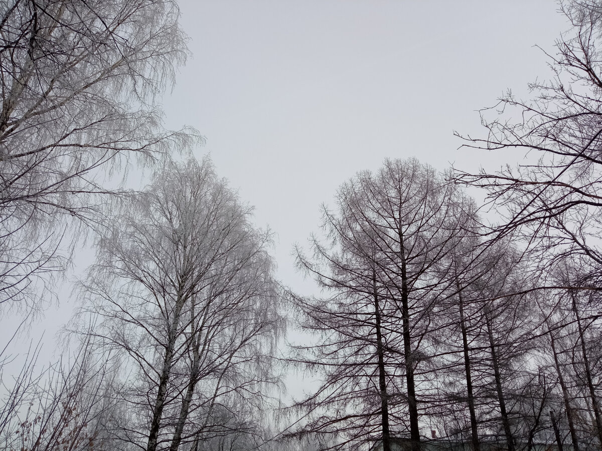 Февральские морозцы