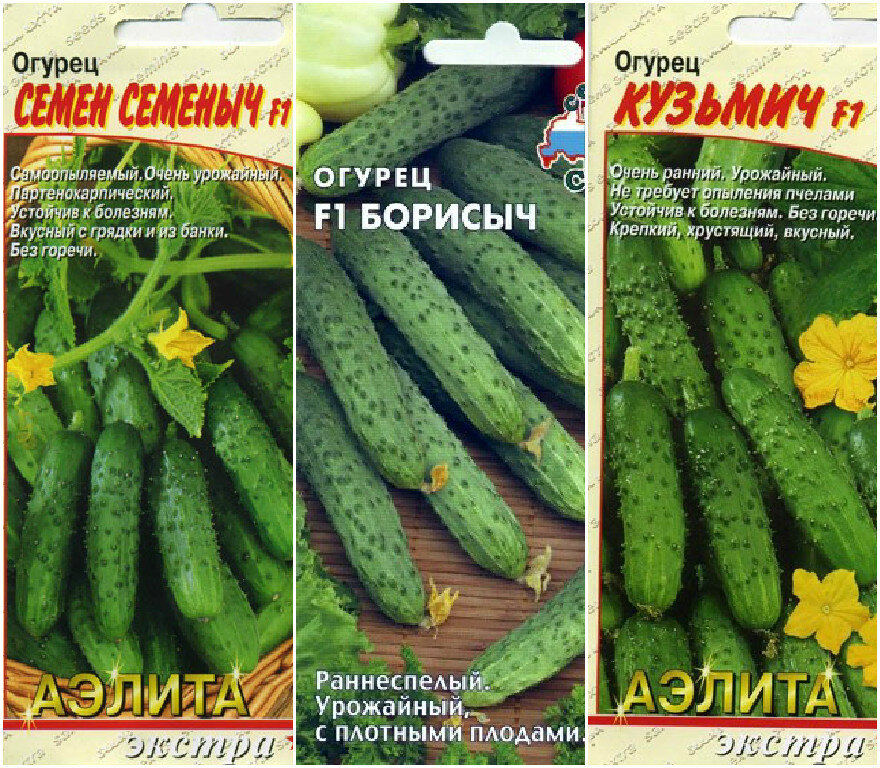 Фото из доступного источника интернета 