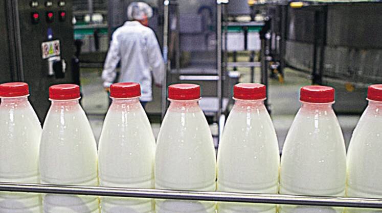    СЕРГЕЙКОНЬКО/ТАСС Переработку молока ставят на автомат