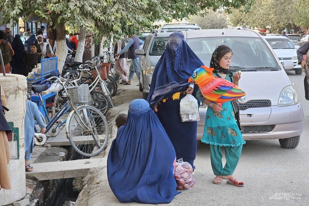    Фото:  АиФ/ Георгий Зотов