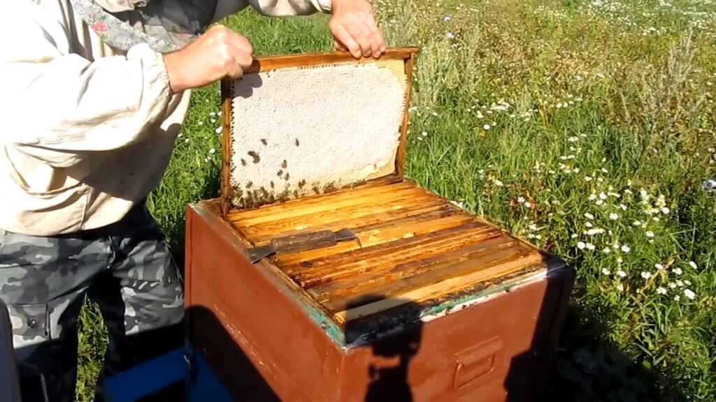 Заготовка медовых рамок для весенней подкормки пчёл.