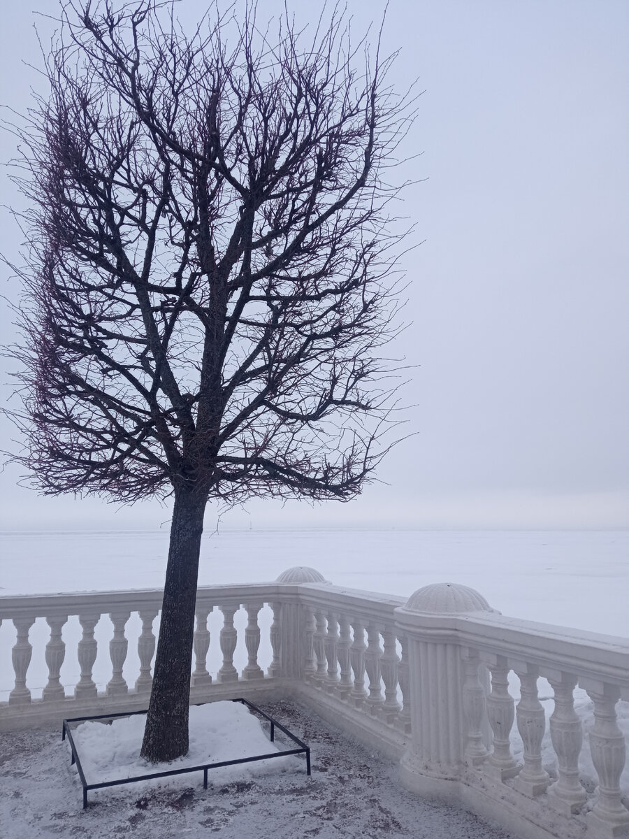 Петергоф. Монплезир. Из архивов автора