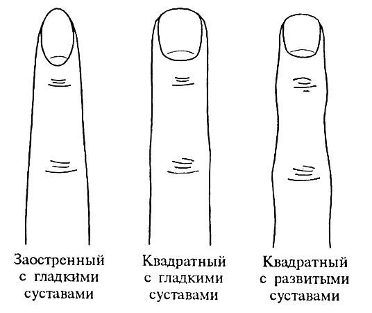 Форма кончиков пальцев.