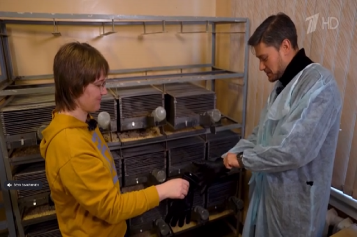    Новый выпуск программы «Жизнь своих» посвятили Новосибирску