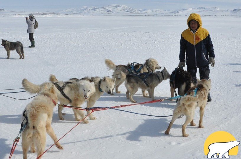 Фото: ИА "Чукотка"